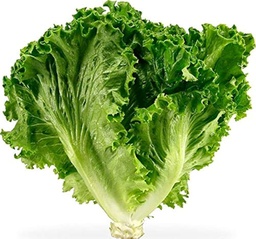 Lettuce Green Ice