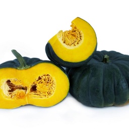 Squash Suprema